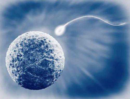 女孩子宫被切除_切除子宫能怀孕_漳州助孕提示泰国试管婴儿冷冻胚胎一年费用